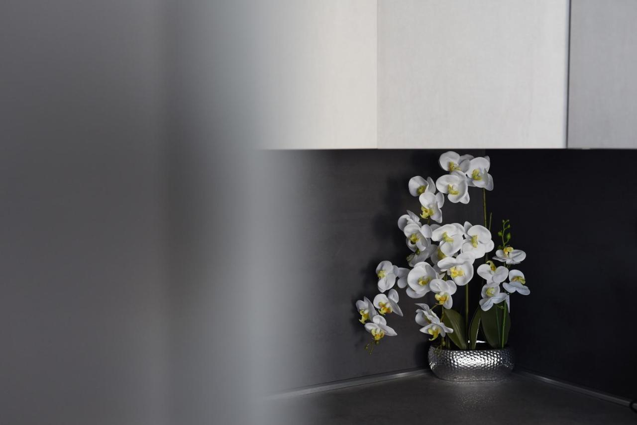 Apartman Niko ザダル エクステリア 写真